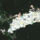 Illustration for article titled Satellite imagery reveals how gold mining is destroying tropical forests